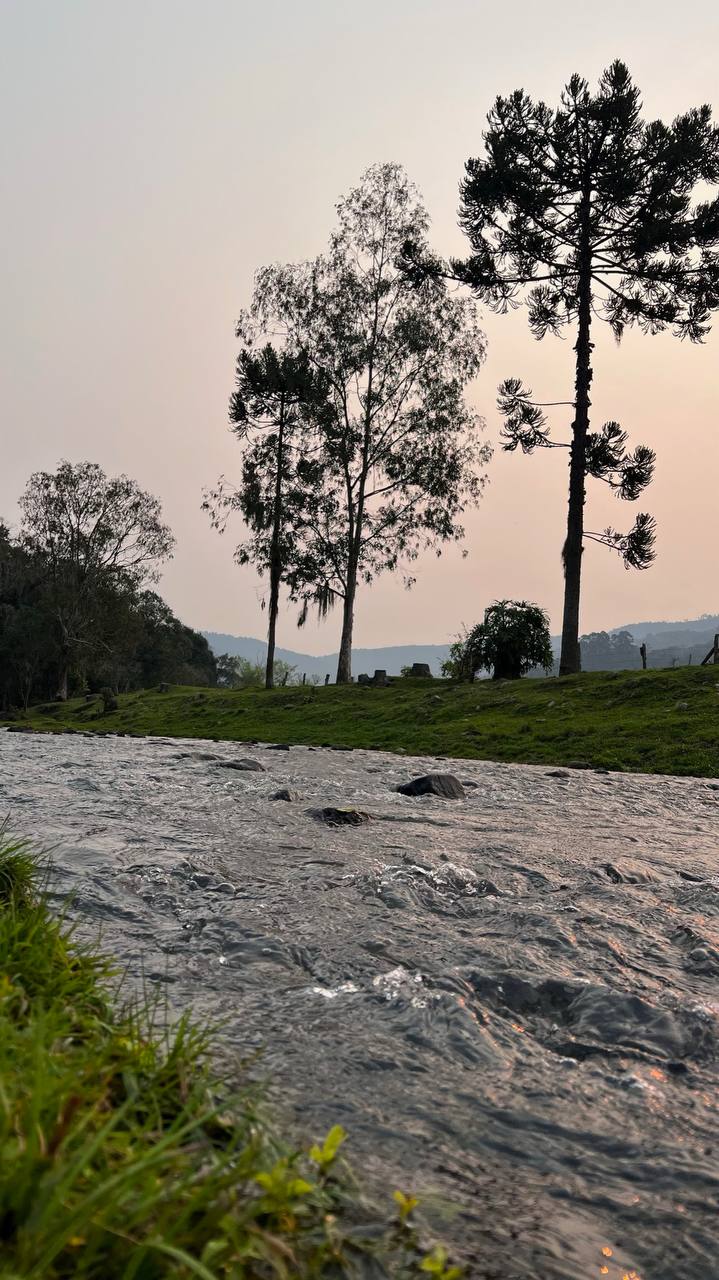Área verde da propriedade Refúgio dos Lobos — 6 hectares à venda entre Alfredo Wagner e Rancho Queimado